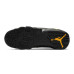 Jordan Air Jordan 9 University Gold