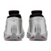 Jordan Air Jordan 14 Low "Metallic Silver"