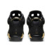Jordan Air Jordan 6 dmp