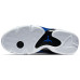 Jordan Air Jordan 14 retro "hyper royal"