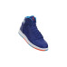 Jordan Air Jordan 1 Retro High Deep Roya