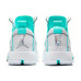 Jordan Air Jordan 34 Snow Leopard