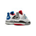 Jordan Air Jordan 4 SE What the 4