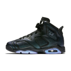 Jordan Air Jordan 6 Retro All Star 2017 Chameleon