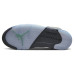 Jordan Air Jordan 5 retro "green bean"