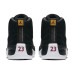 Jordan Air Jordan 12 Reverse Taxi