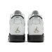 Jordan Air Jordan 6 “Alligator”