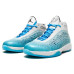 Jordan Air Jordan 2011 AJ26