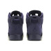 Jordan Air Jordan 6 Retro Purple Dynasty
