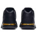 Air Jordan 31 Low Black Gold