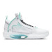 Jordan Air Jordan 34 “Snow Leopard”
