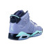 Jordan Air Jordan 6 Retro Iron Purple