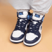 Jordan Air Jordan 1 "Obsidian"