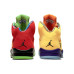 Jordan Air Jordan 5 retro se "what the"