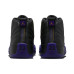 Jordan Air Jordan 12 "Field Purple"
