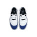 Jordan Air Jordan 11 retro low "concord sketch"