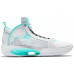 Jordan Air Jordan 34 Snow Leopard