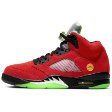 Jordan Air Jordan 5 retro se "what the"