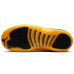 Jordan Air Jordan 12 Retro University Gold