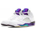 Jordan Air Jordan 5 Retro Grape PU