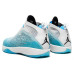 Jordan Air Jordan 2011 AJ26
