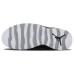 Jordan Air Jordan 10 Retro Stealth 2012