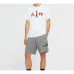 Air Jordan T