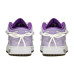 Jordan Air Jordan 1 FZBB GS