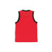 Air Jordan Jumpman Sport DNA