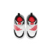 Jordan Air Jordan 1 Sky logo
