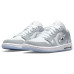 Jordan Air Jordan 1 Dior