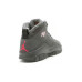 Jordan Air Jordan 10 Retro Shadow CDP (2008)