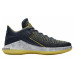 Jordan Air Jordan 32 Low "Michigan"
