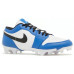 Jordan Air Jordan 1 AG（ ）