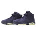 Jordan Air Jordan 6 Retro Purple Dynasty