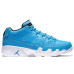 Jordan Air Jordan 9 Retro Low Pantone