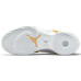Jordan Air Jordan 36 White Gold TPU