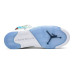 Jordan Air Jordan 5 Retro Wings