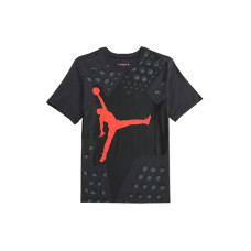 Air Jordan 6 T