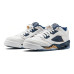 Jordan Air Jordan 5 Retro Low Dunk From Above