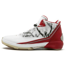 Jordan Air Jordan 22 OG Omega
