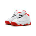 Jordan Air Jordan 13 HISTORY OF FLIGHT