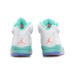 Jordan Air Jordan 5 Retro Light Aqua
