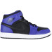 Jordan Air Jordan 1 Retro Mid Dark Concord