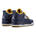 Jordan Air Jordan 4 Retro Dunk From Above