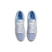Union x Nike Dunk Low Argon