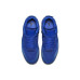 Jordan Air Jordan 4 Retro Flyknit Royal